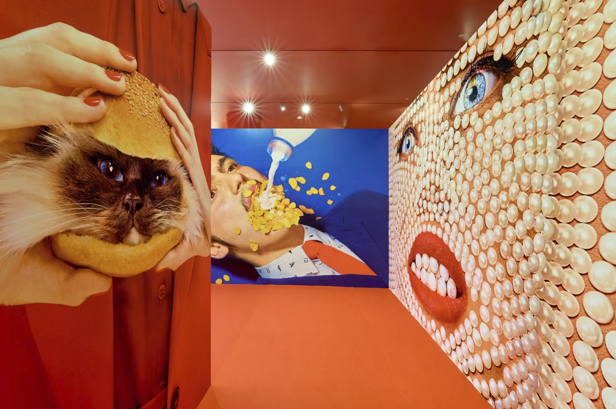 Allestimento Wallpaper e Stampe Fine Art Inkjet per Toilet Paper