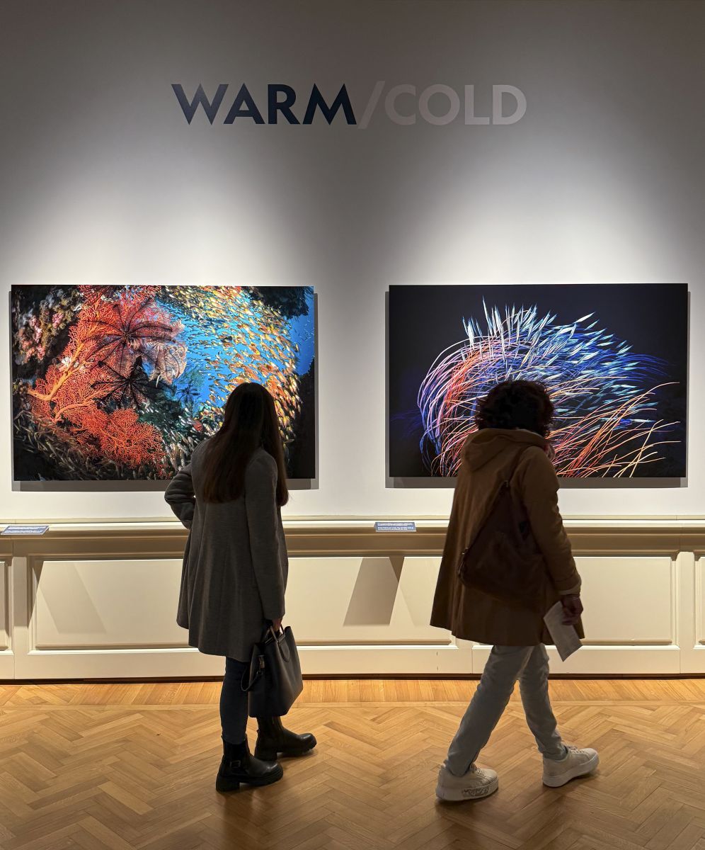 Alcune stampe fotografiche montate su Dibond che abbiamo realizzato per la mostra fotografica di National Geographic "Oceani" ospitata da Villa Bardini