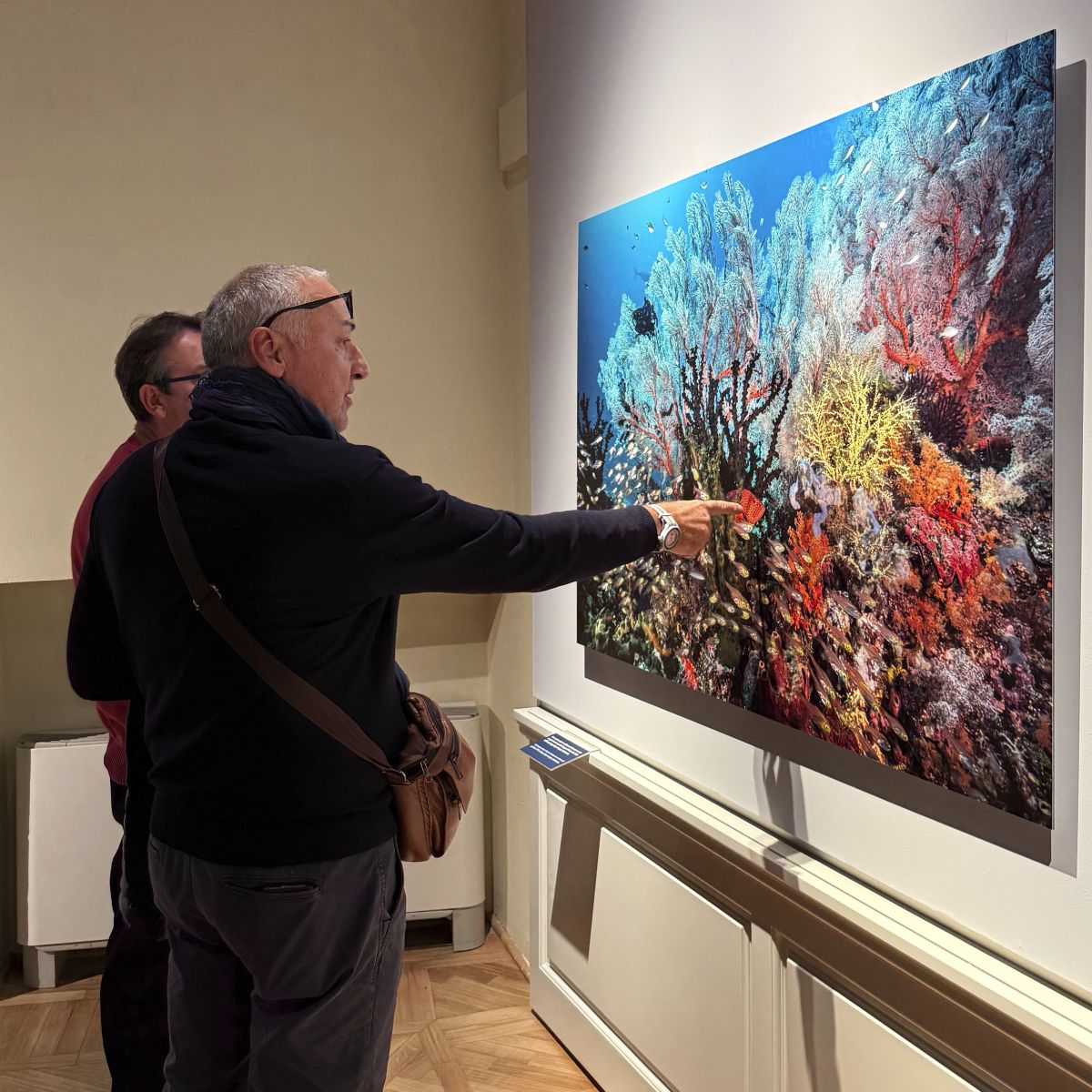 Alcune tampe fotografiche realizzate con pigmenti Epson ultrachrome Pro su carta fotografica certificata che il nostro laboratorio fotografico ha realizzato per la mostra "Oceani" di National Geographic esposta a Villa Bardini