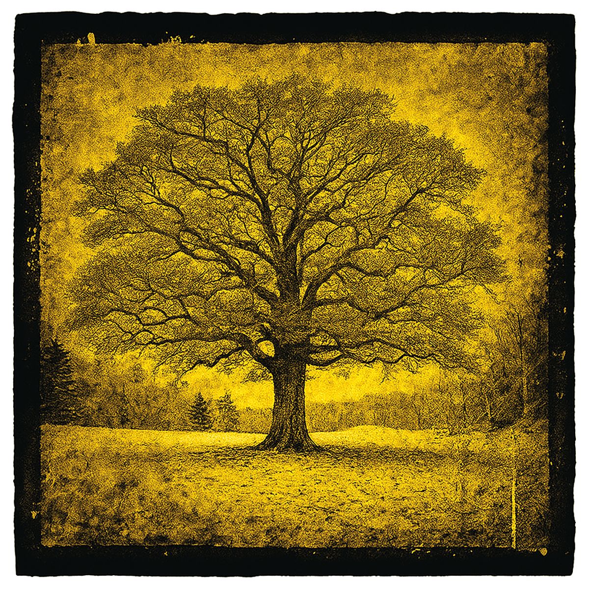 Stampa d'arte su foglia d'oro con effetto stencil per una importante mostra di arte contemporanea