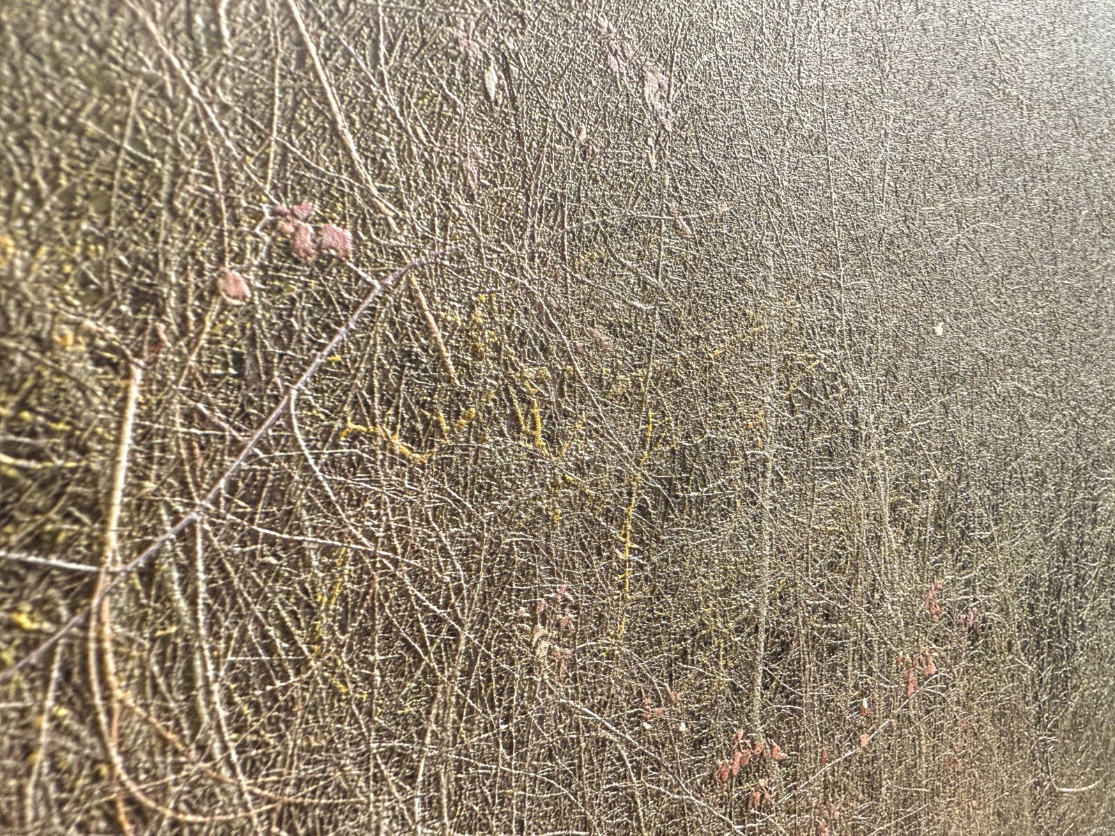 Stampa a rilievo di altissima risoluzione di qualità fine art di grande formato.